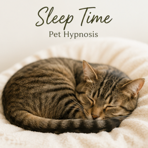 Sleep Time