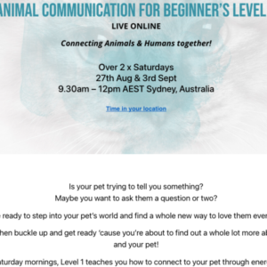 animal communication for beginners